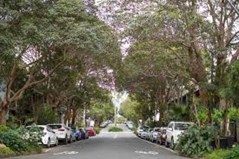 Green Party Proposes Urban Rewilding Measures