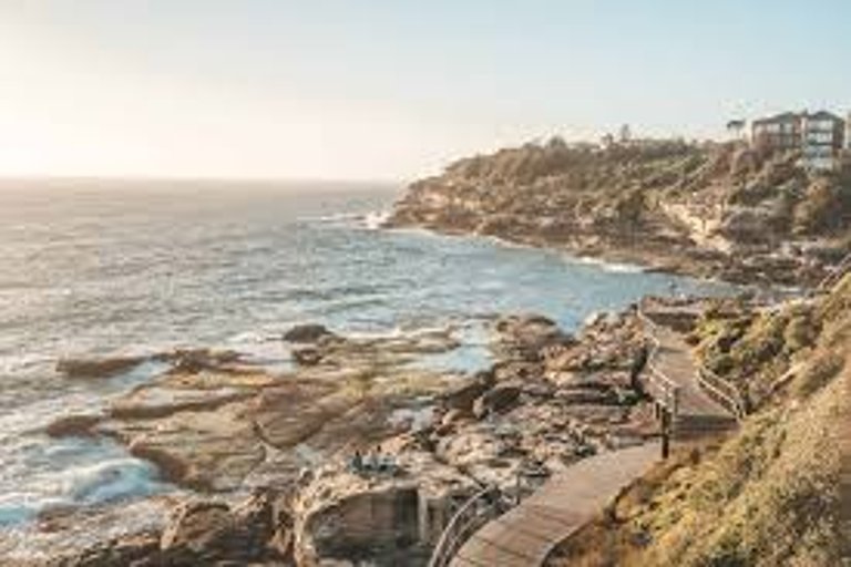 Waverley Council Approves New Coastal Walk Enhancements